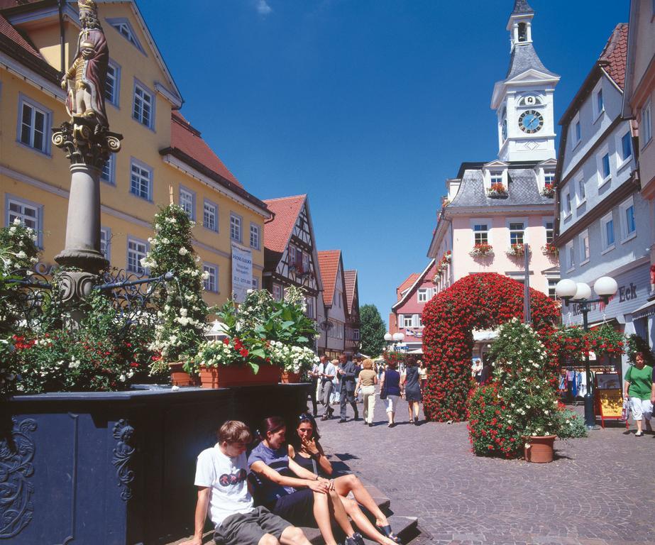 Boutiquehotel Goldhahn Bio Sport & Wellness Aalen Exteriör bild
